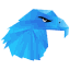 Garuda Linux Kde Lite Icon