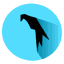Parrot Os Icon